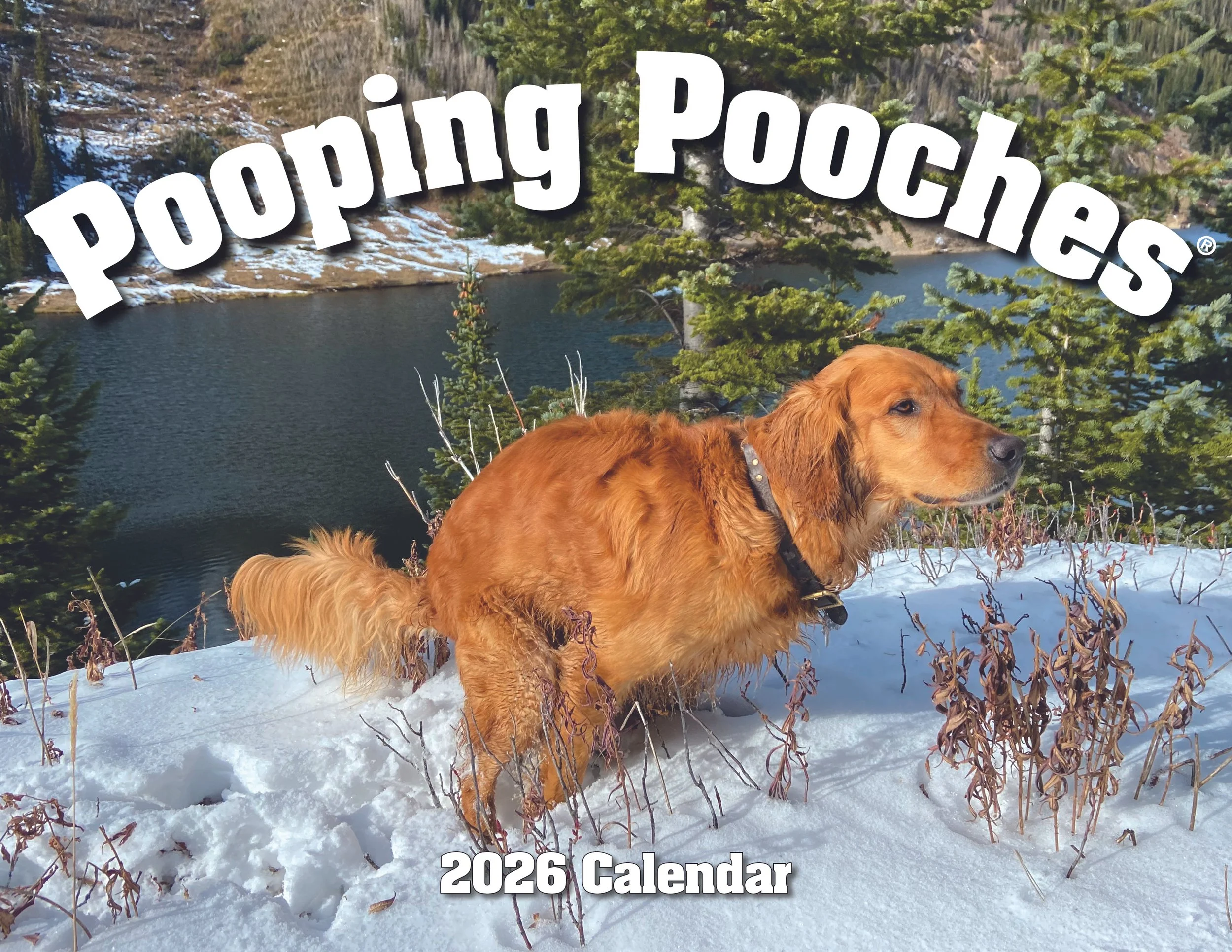 The original pooping pooches calendar — Gag Gifts For Good Causes